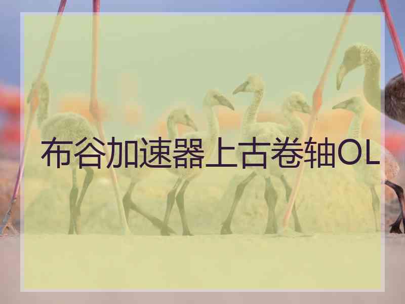布谷加速器上古卷轴OL
