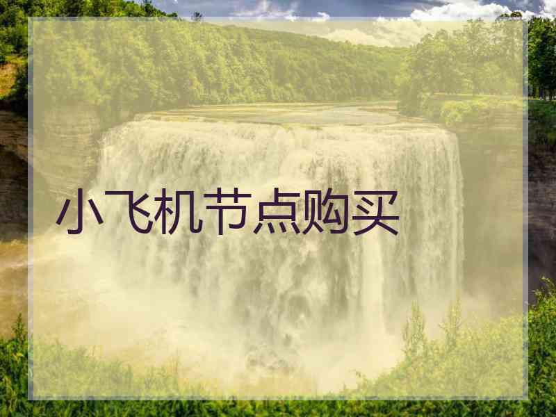 小飞机节点购买