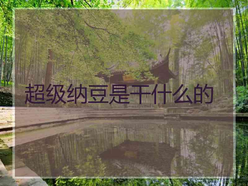 超级纳豆是干什么的