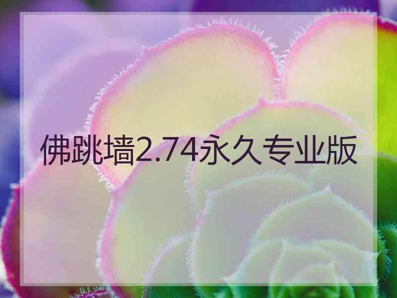 佛跳墙2.74永久专业版