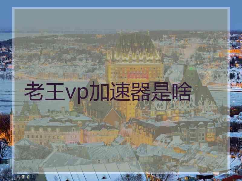 老王vp加速器是啥