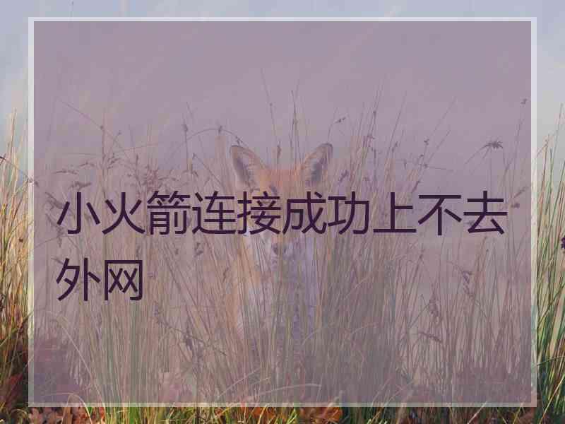 小火箭连接成功上不去外网