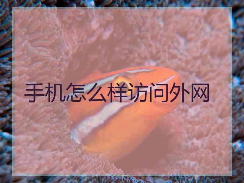 手机怎么样访问外网