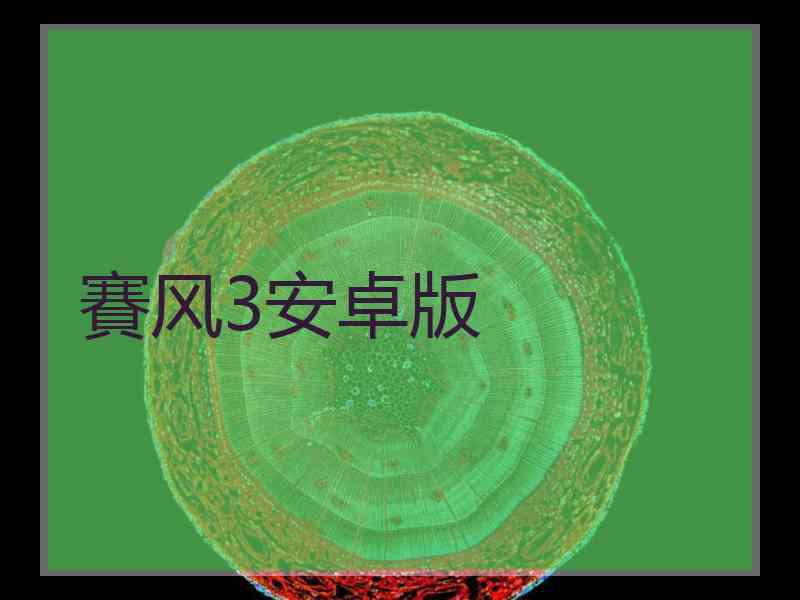 賽风3安卓版