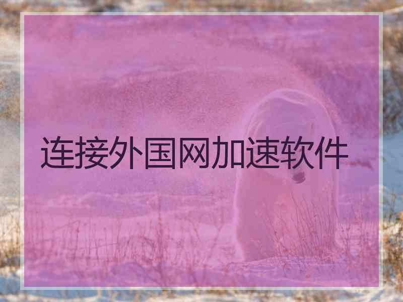 连接外国网加速软件