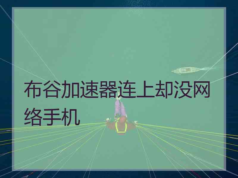 布谷加速器连上却没网络手机