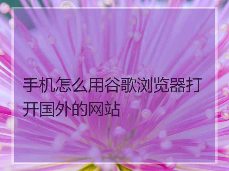 手机怎么用谷歌浏览器打开国外的网站