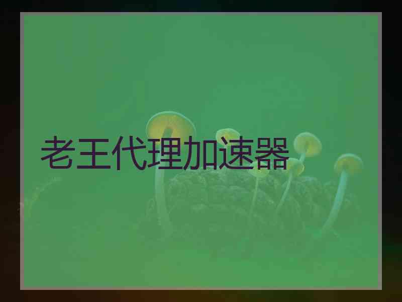 老王代理加速器