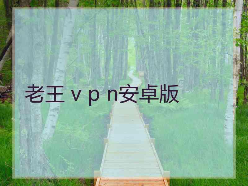 老王 v p n安卓版