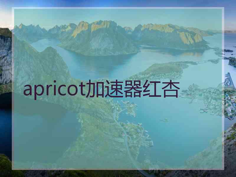 apricot加速器红杏