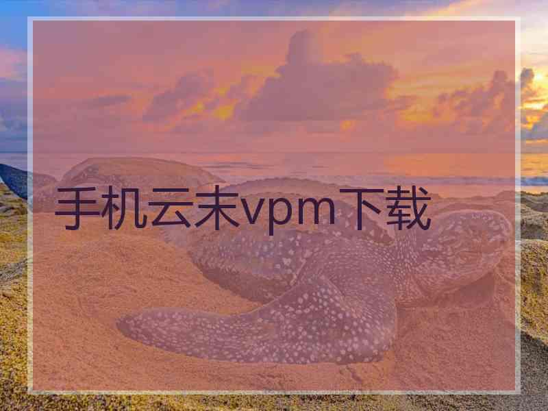 手机云末vpm下载