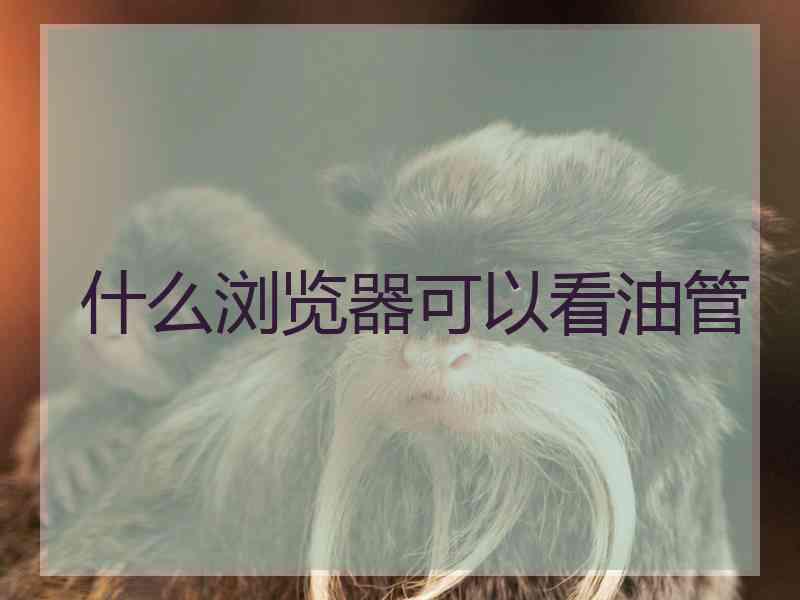 什么浏览器可以看油管