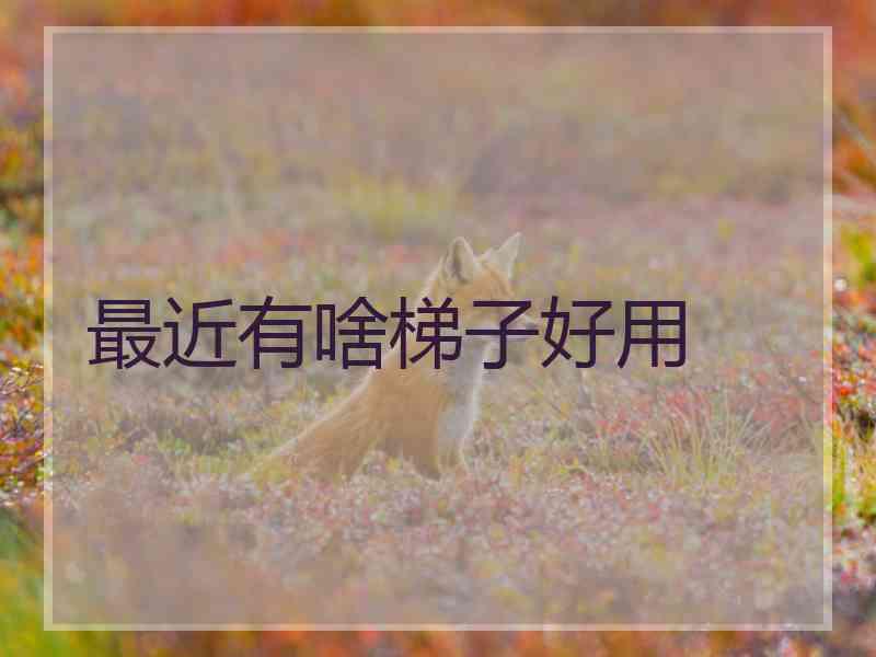 最近有啥梯子好用