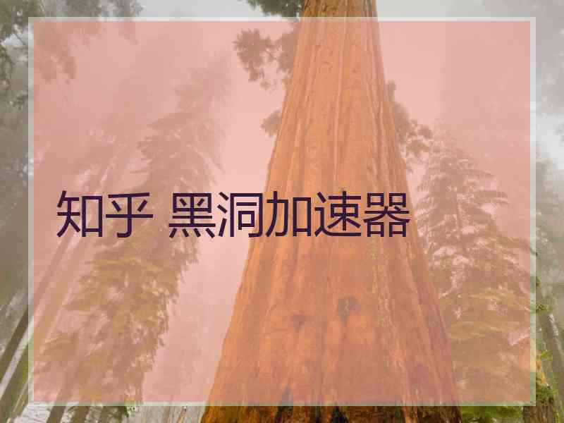 知乎 黑洞加速器