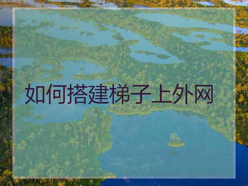 如何搭建梯子上外网