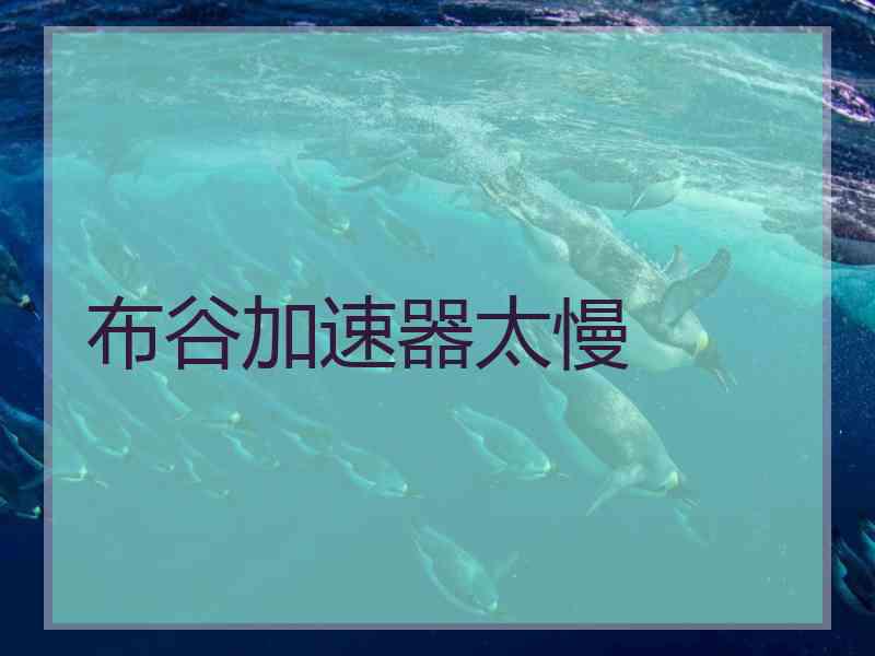 布谷加速器太慢