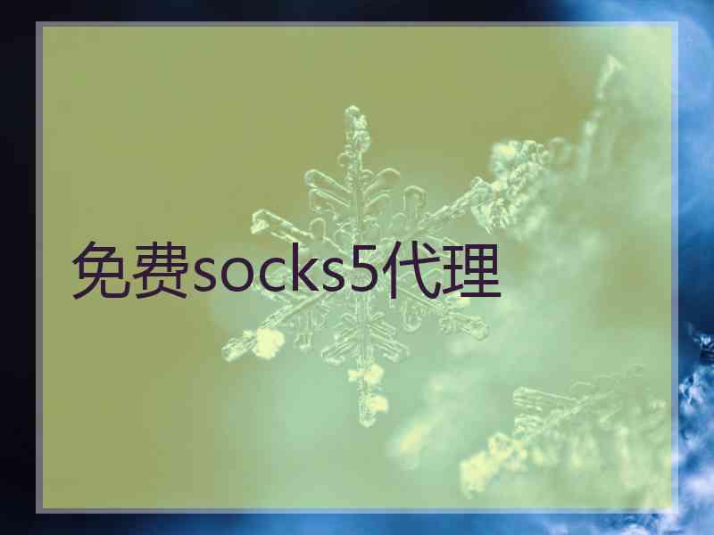 免费socks5代理