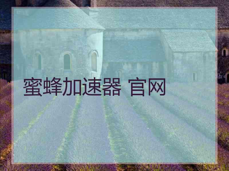 蜜蜂加速器 官网