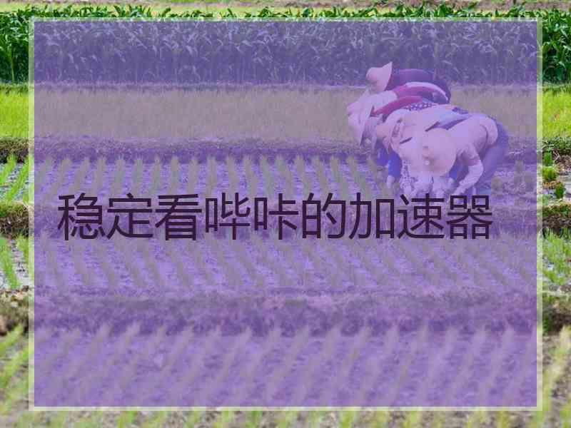 稳定看哔咔的加速器