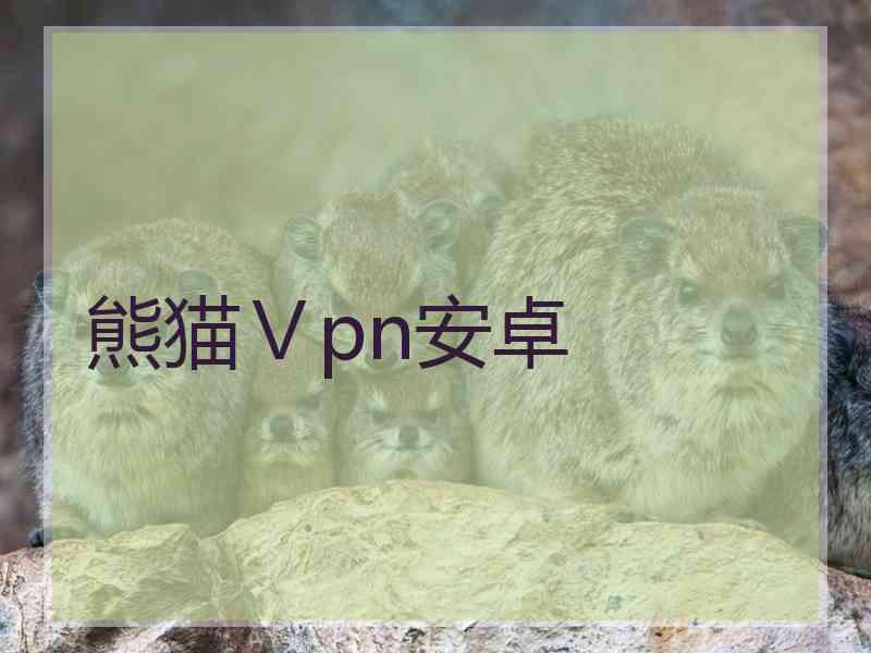 熊猫Ⅴpn安卓