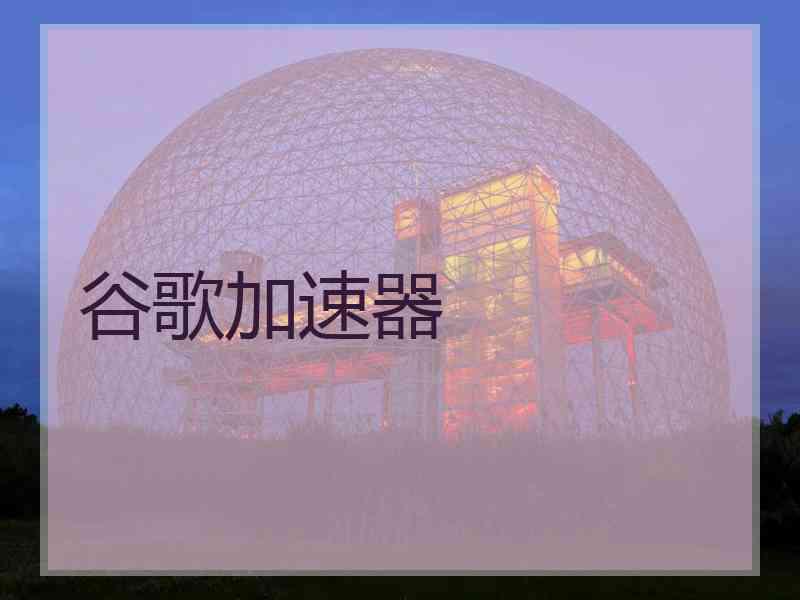 谷歌加速器