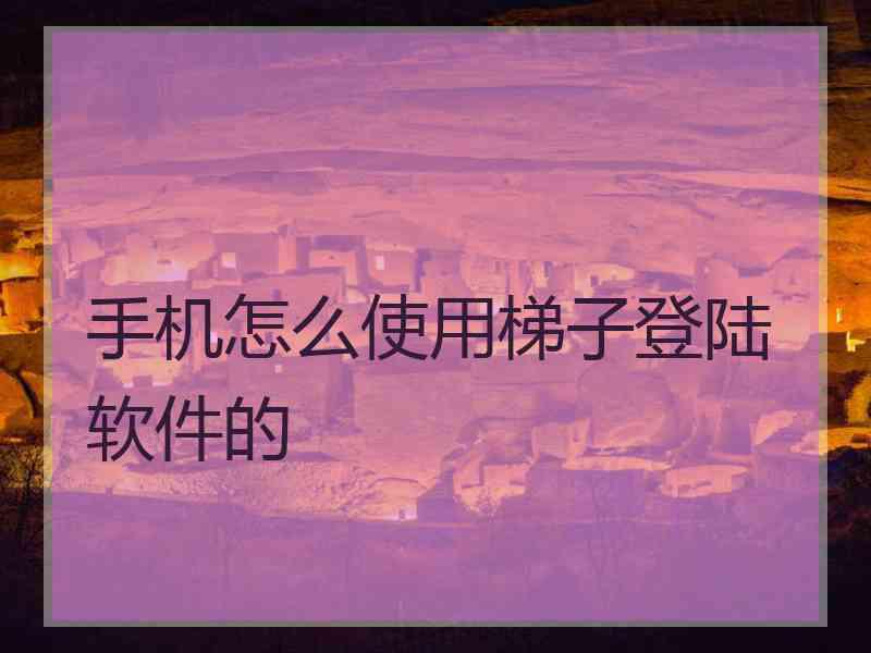 手机怎么使用梯子登陆软件的