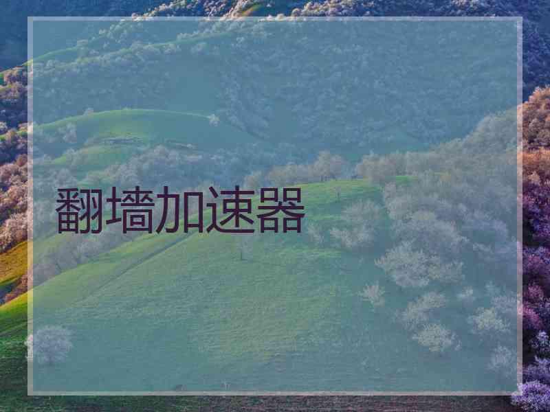 翻墻加速器