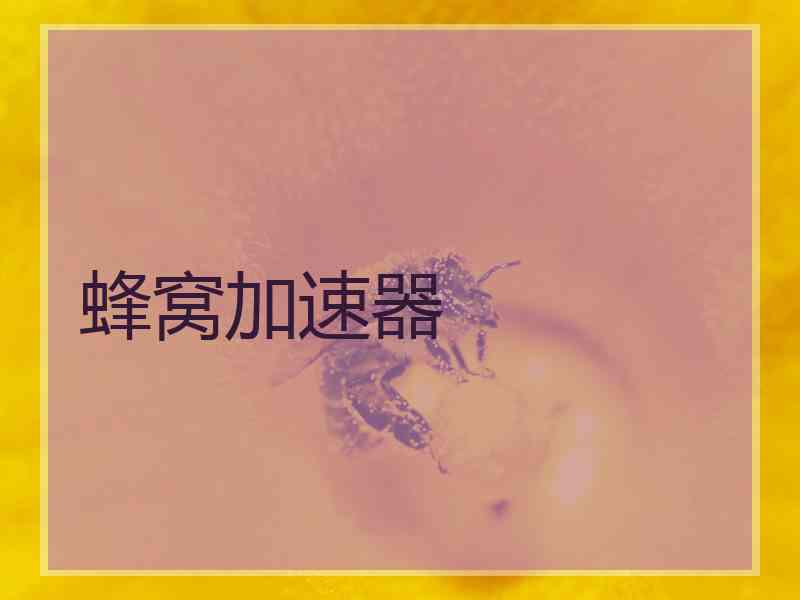 蜂窝加速器