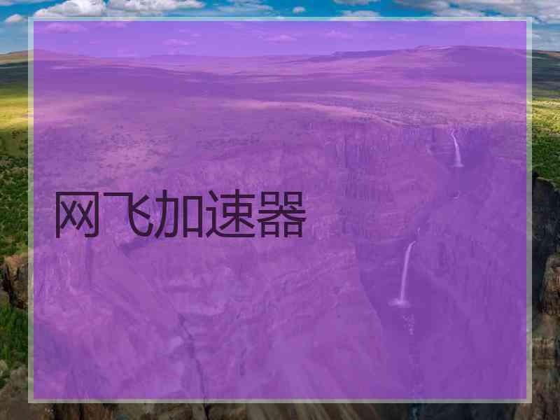 网飞加速器