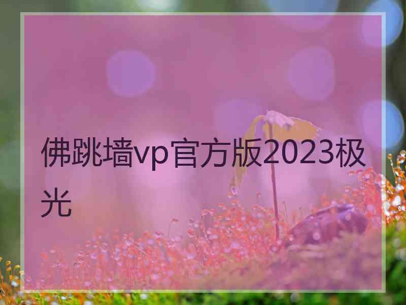 佛跳墙vp官方版2023极光