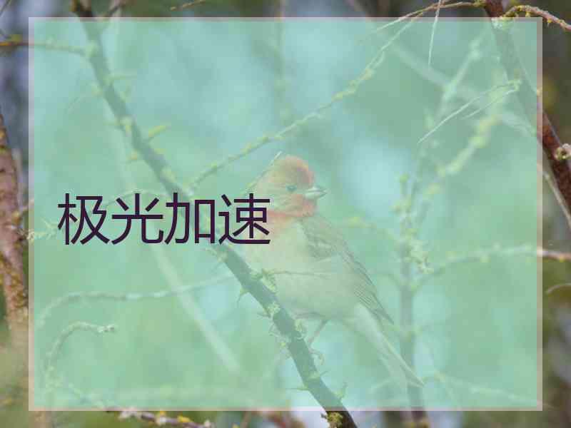极光加速
