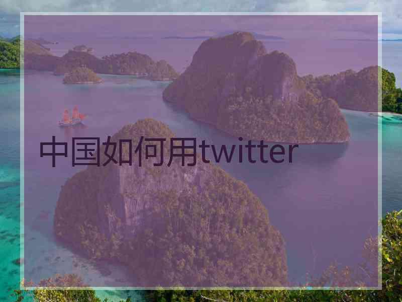 中国如何用twitter