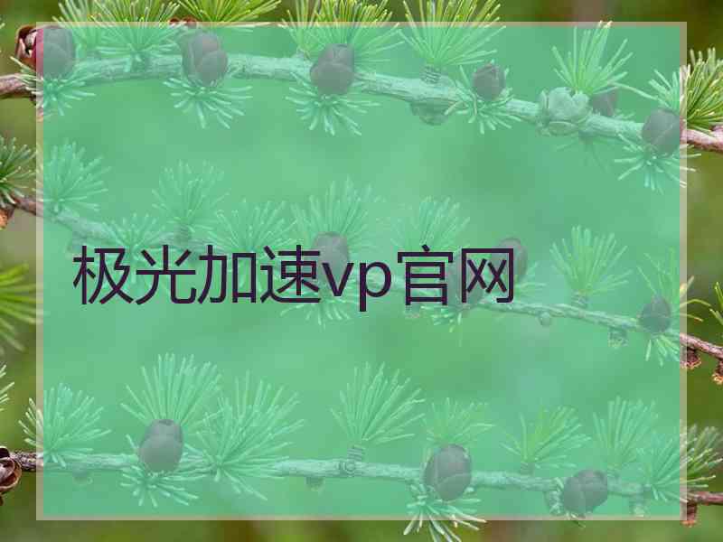 极光加速vp官网