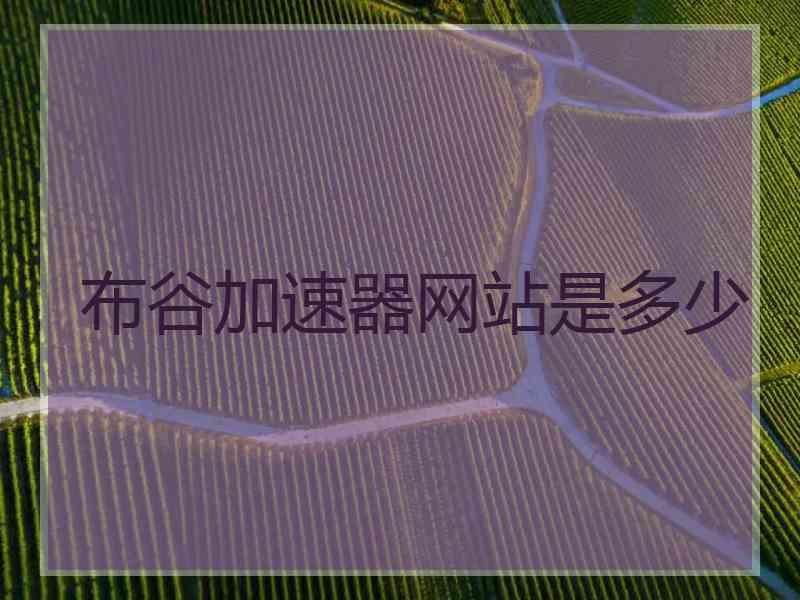 布谷加速器网站是多少