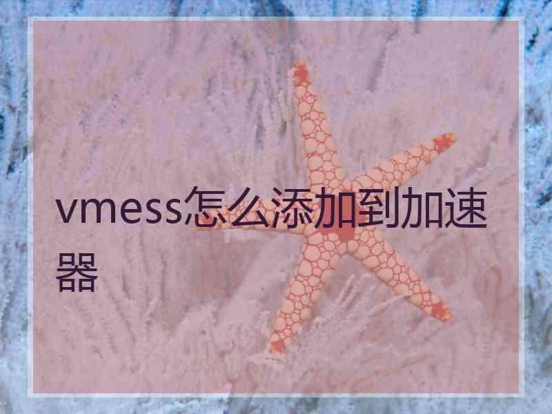 vmess怎么添加到加速器