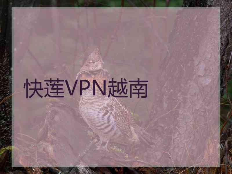 快莲VPN越南
