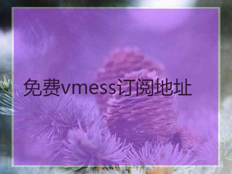 免费vmess订阅地址