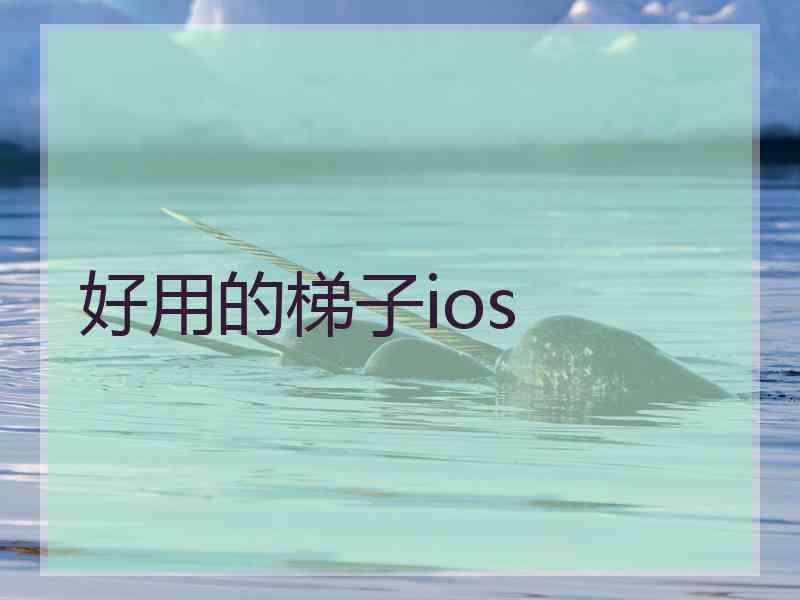 好用的梯子ios