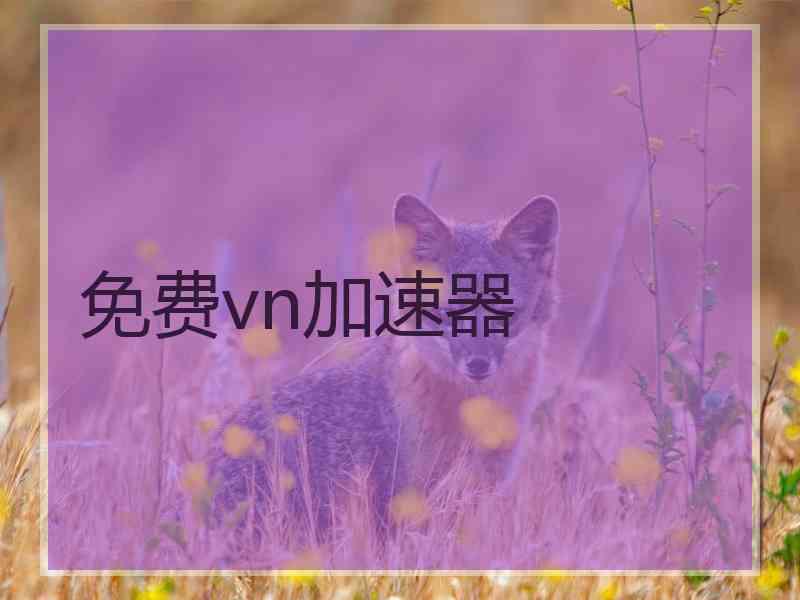 免费vn加速器