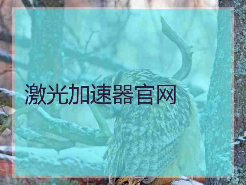 激光加速器官网