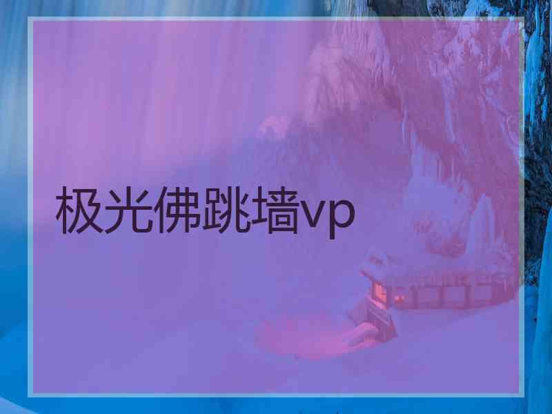极光佛跳墙vp