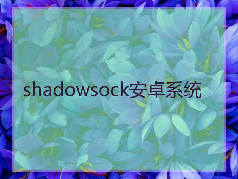 shadowsock安卓系统