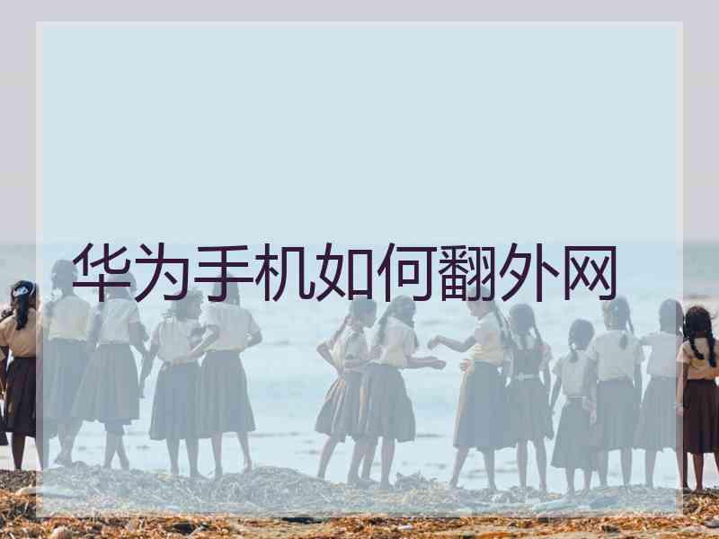 华为手机如何翻外网