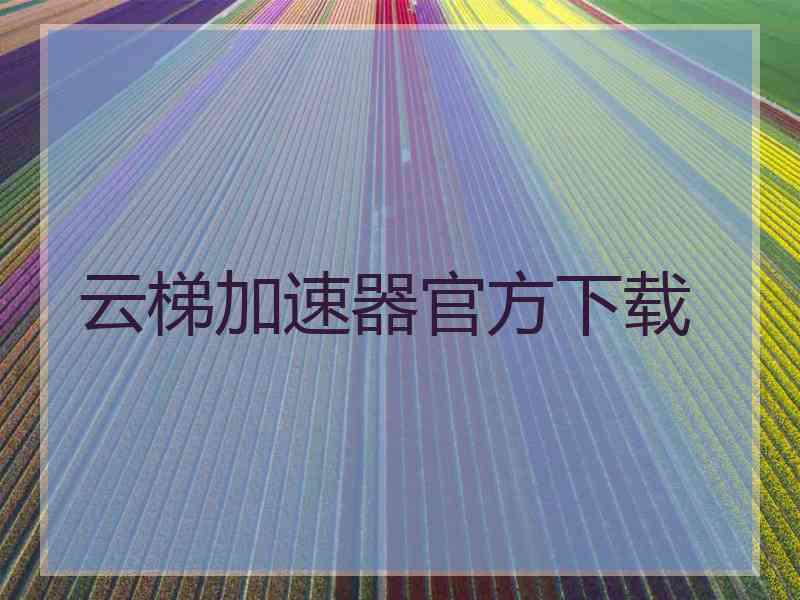 云梯加速器官方下载
