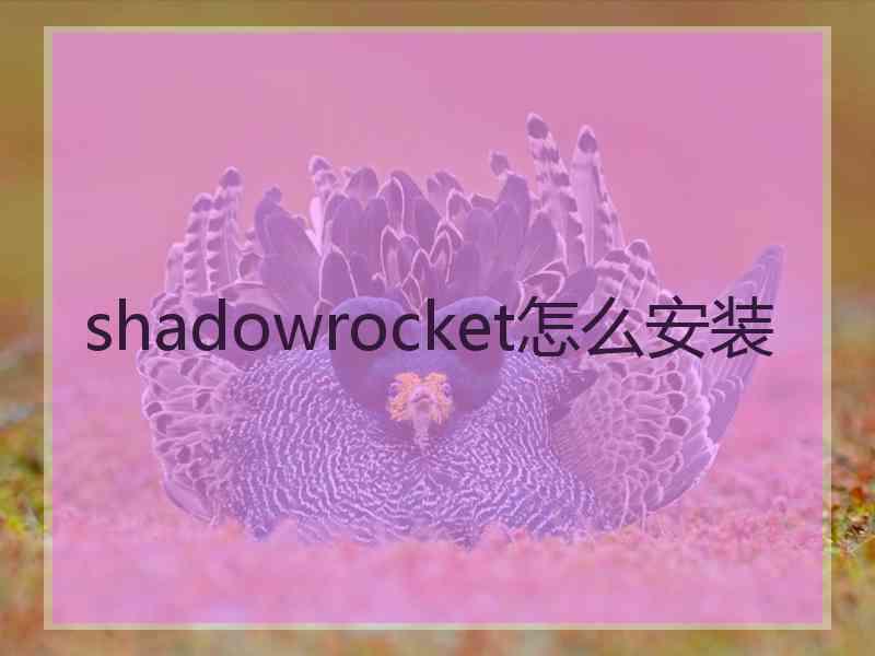 shadowrocket怎么安装