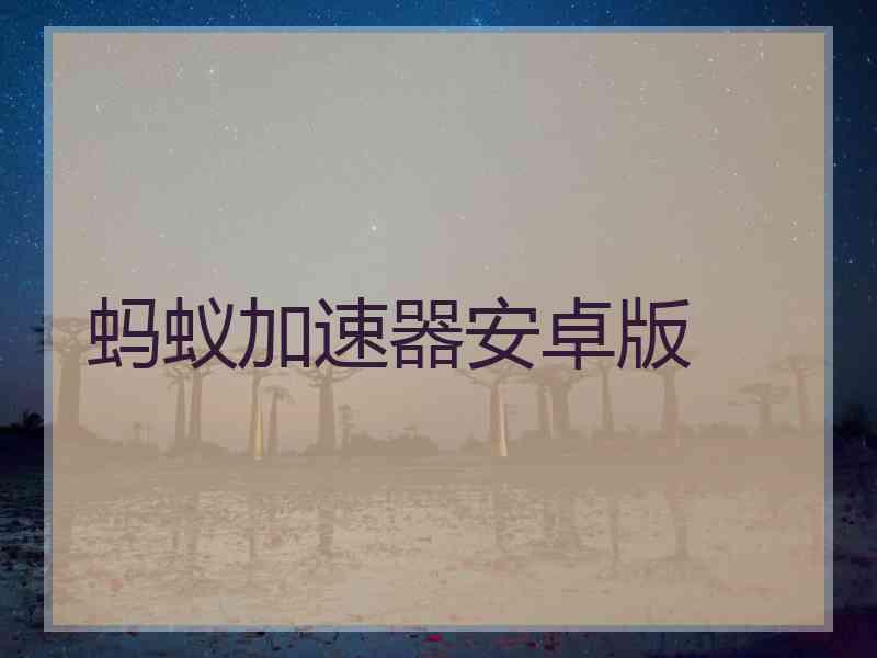 蚂蚁加速器安卓版
