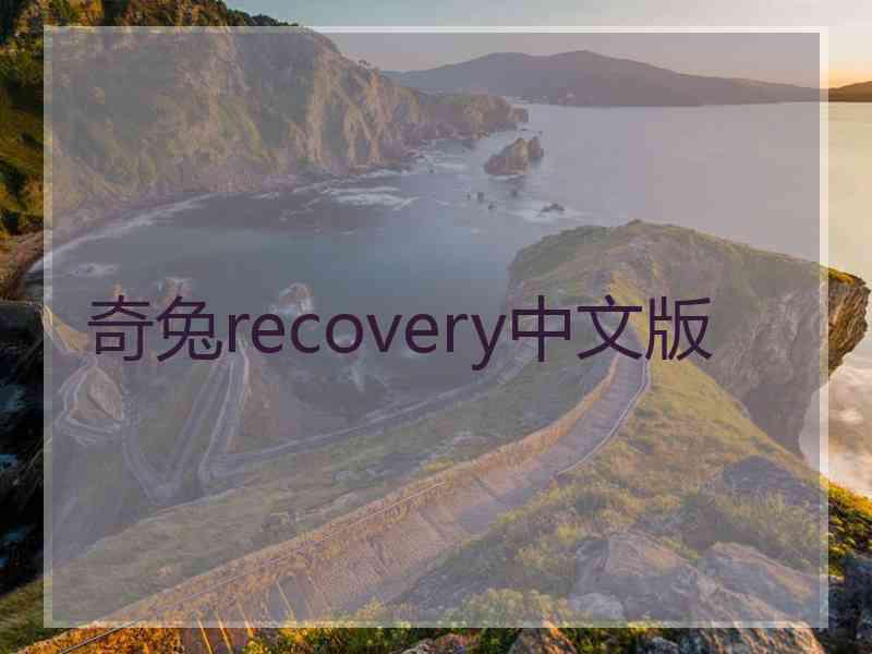 奇兔recovery中文版