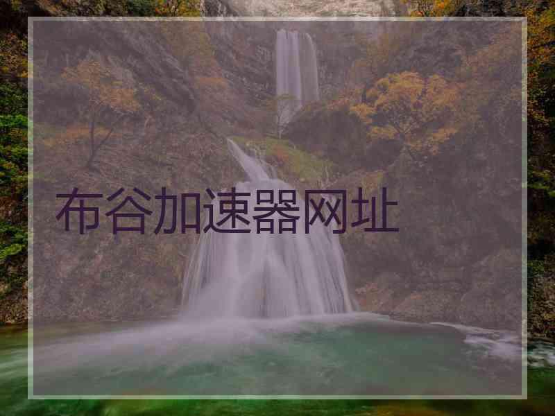 布谷加速器网址