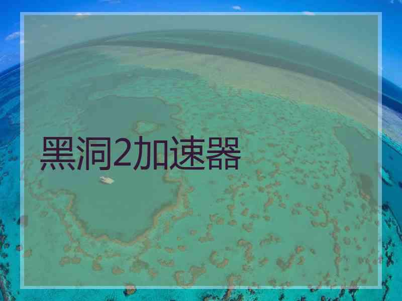 黑洞2加速器