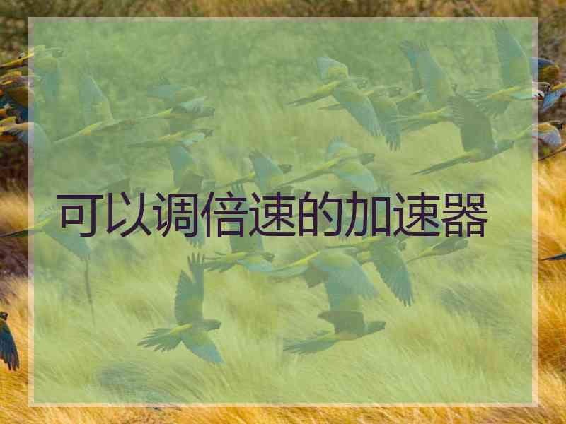 可以调倍速的加速器